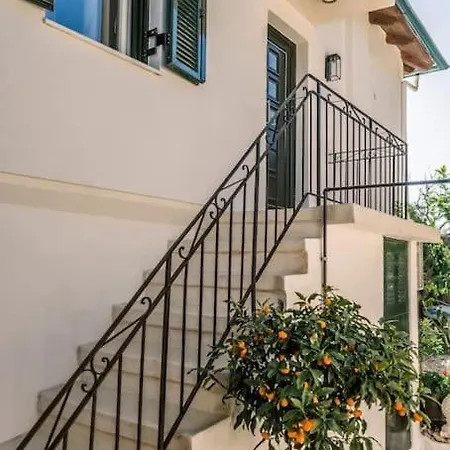 Blue & Green View House
